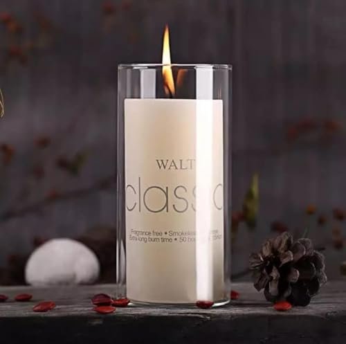 Mado gallery Glass Cylinder Vases size of (10 x 15 cm) Decorative Centerpieces for Home or Wedding, Bulk Cylinder Flower & Plant Vases, Candle Holders for Home Decoration and Wedding Centerpieces
